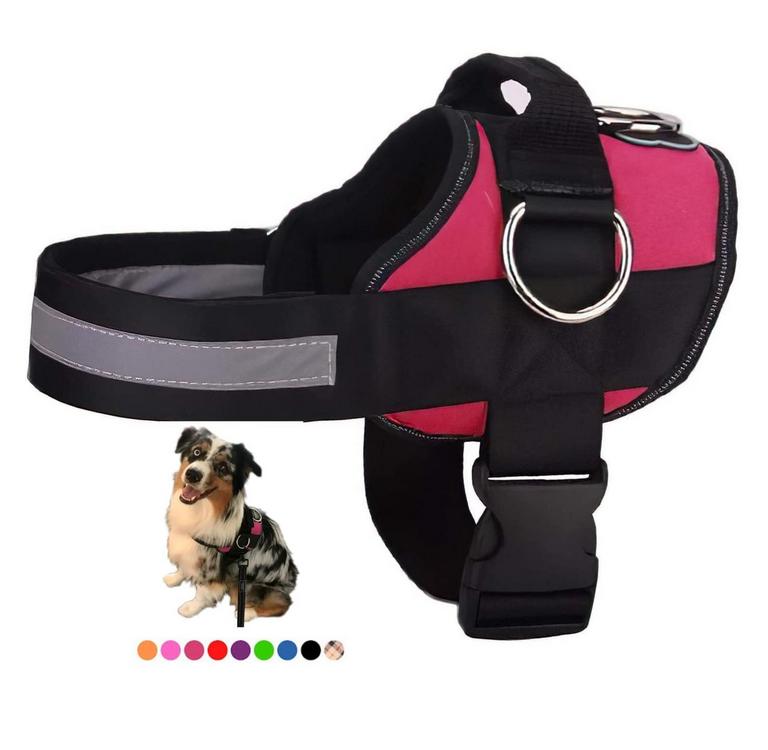 JOYRIDE DOG HARNESS XS