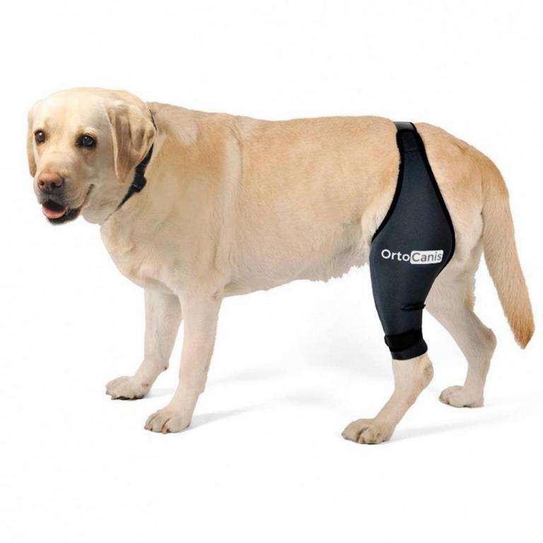 ORTOCANIS DOG KNEE BRACE