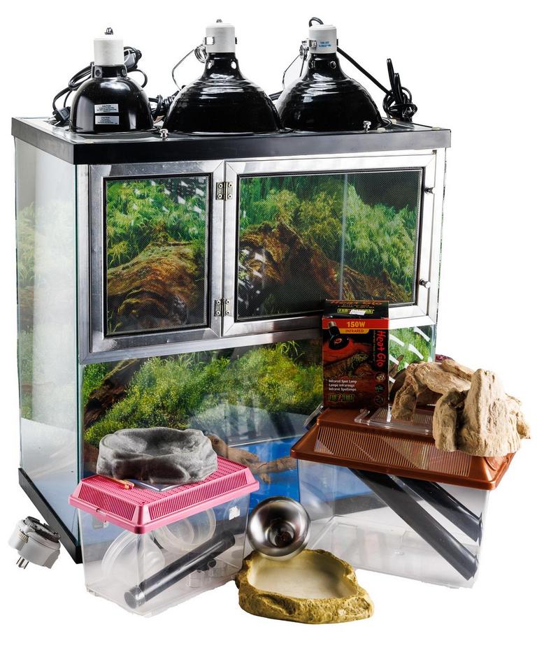 Auction Ohio Reptile Terrarium Setup
