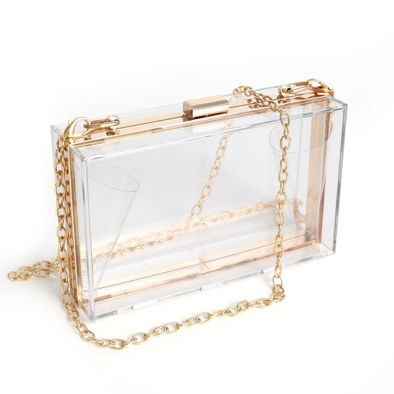 WJCD CLEAR ACRYLIC PURSE