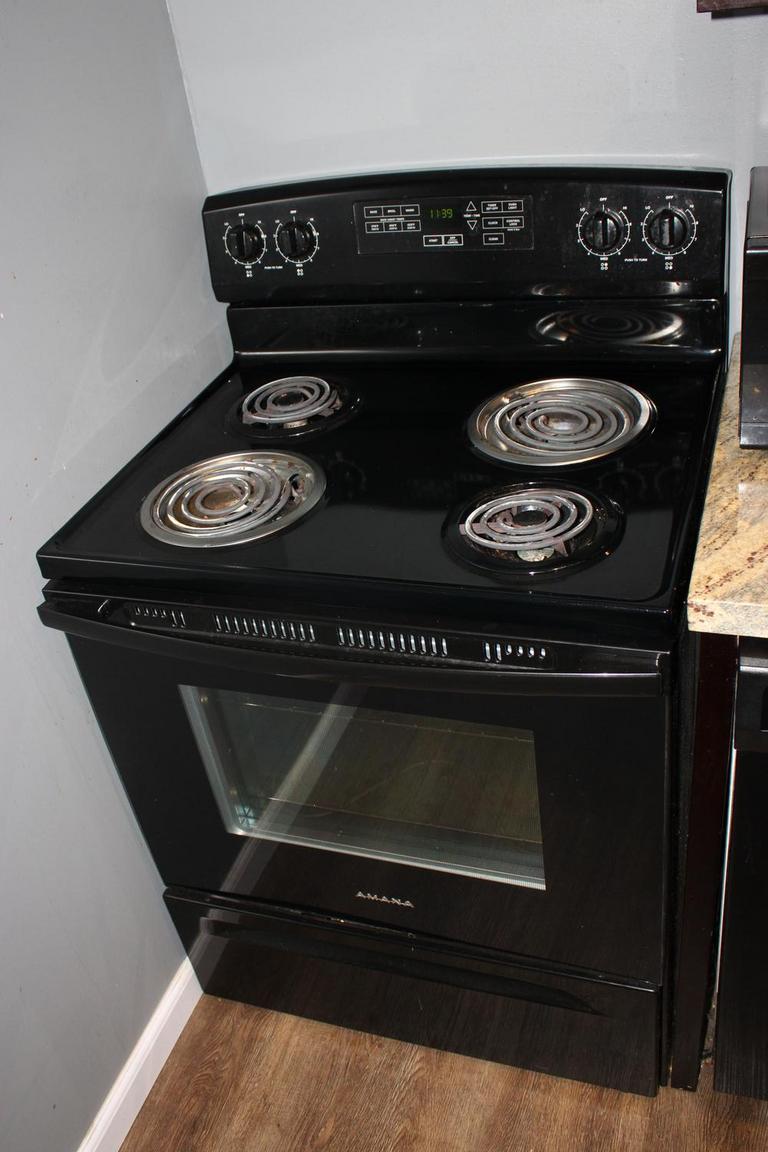 Auction Ohio Amana Stove