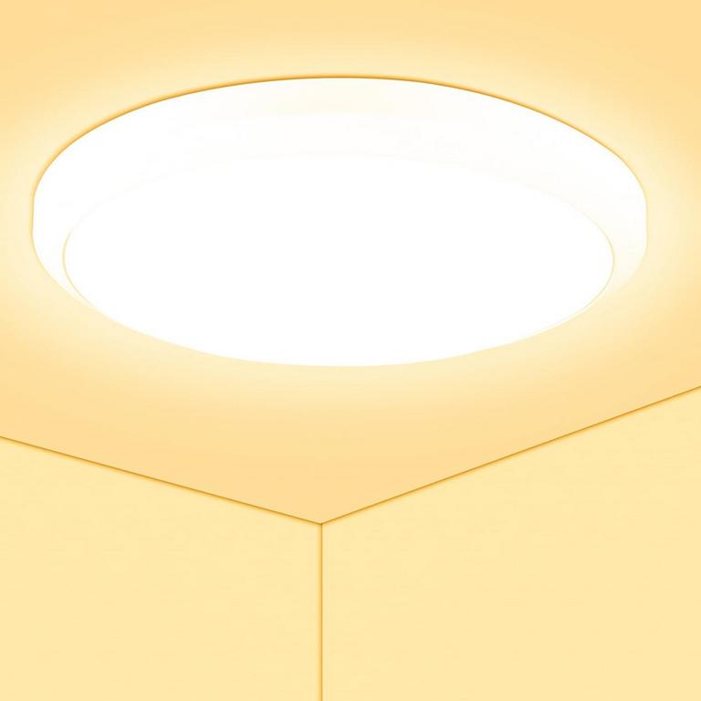 12" LED CEILING LIGHT