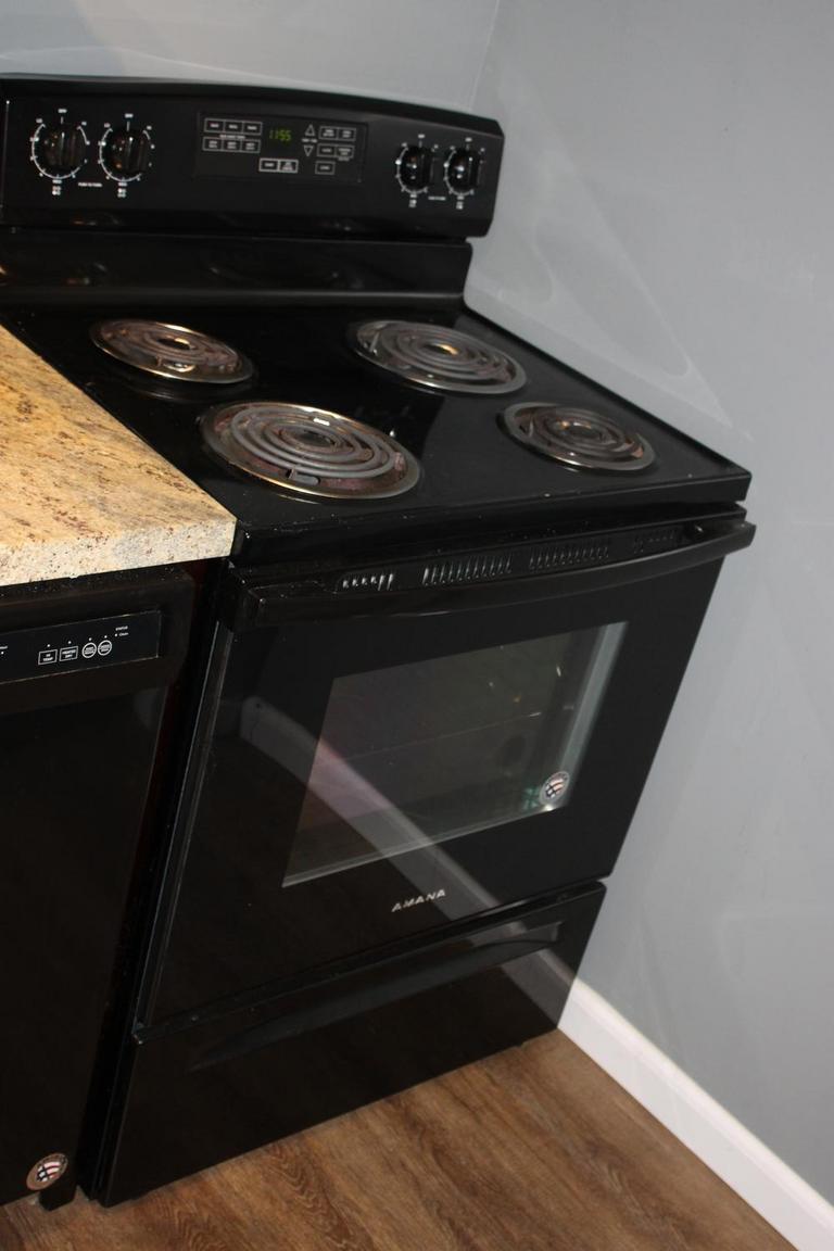 Auction Ohio Amana Stove