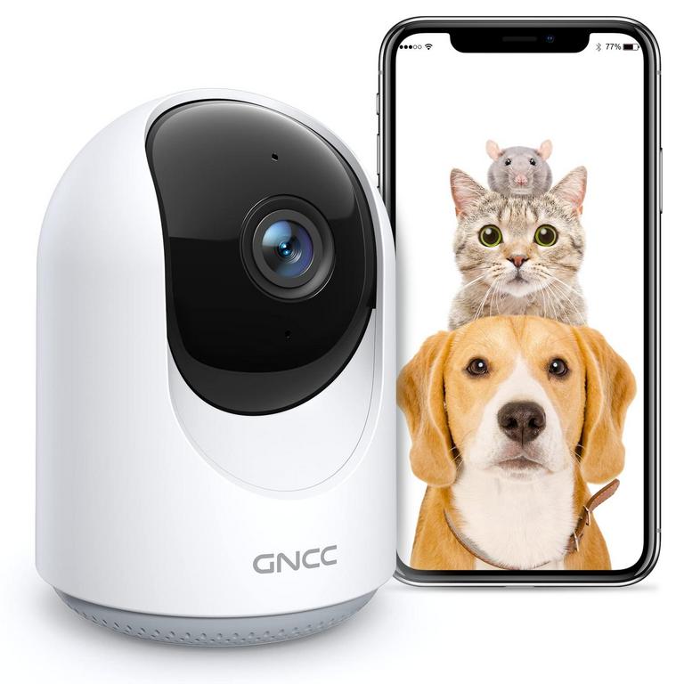 GNCC PET CAMERA P1