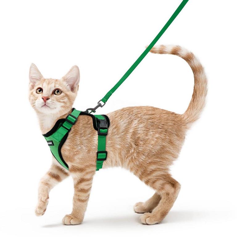 RABBITGOO CAT HARNESS