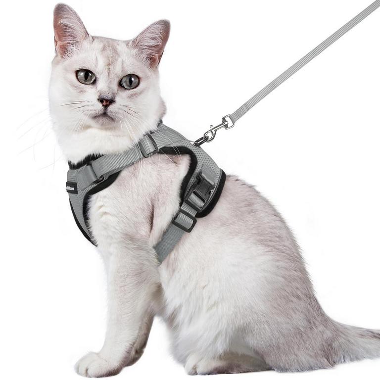 RABBITGOO CAT HARNESS