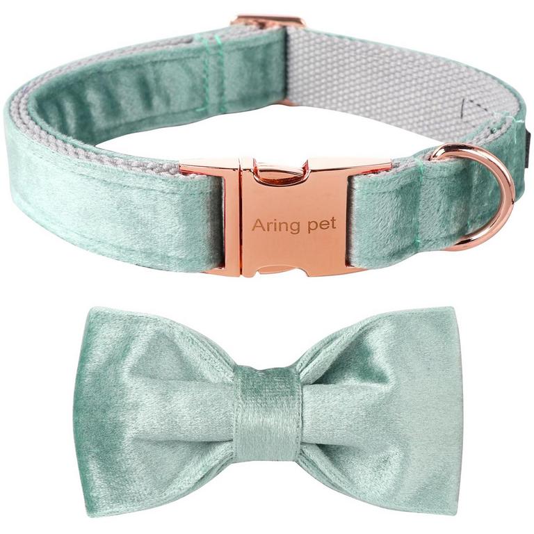ARING PET VELVET COLLAR