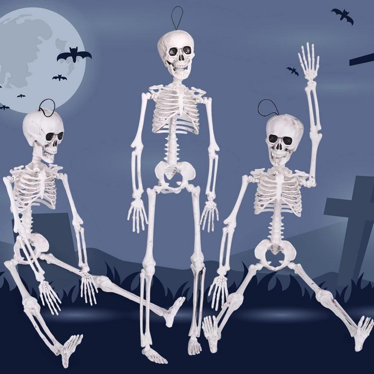 THREE 15" SKELETONS