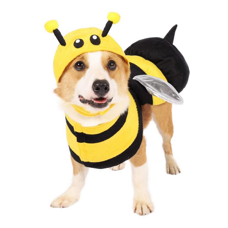 HALLOWEEN BEE DOG COSTUME
