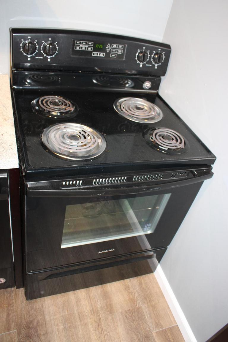 Auction Ohio Amana Stove