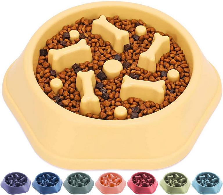 SLOW DOG BOWL MEDIUM