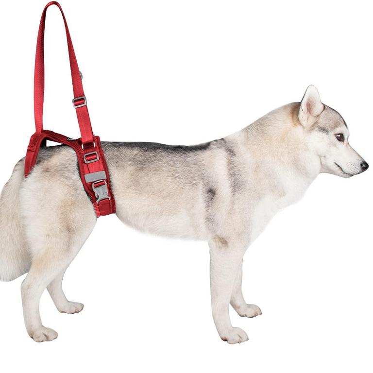 WOAYOOU DOG LIFT HARNESS