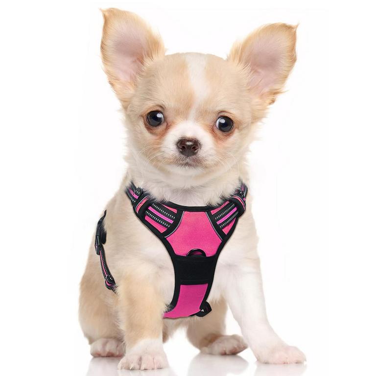 RABBITGOO DOG HARNESS S