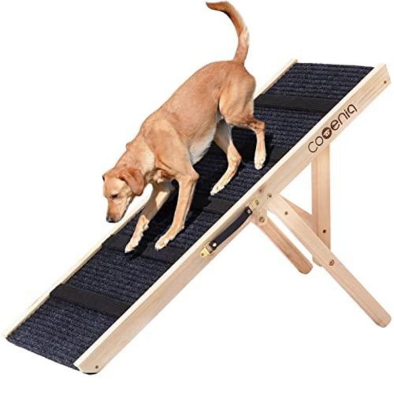 Sausage dog outlet ramp