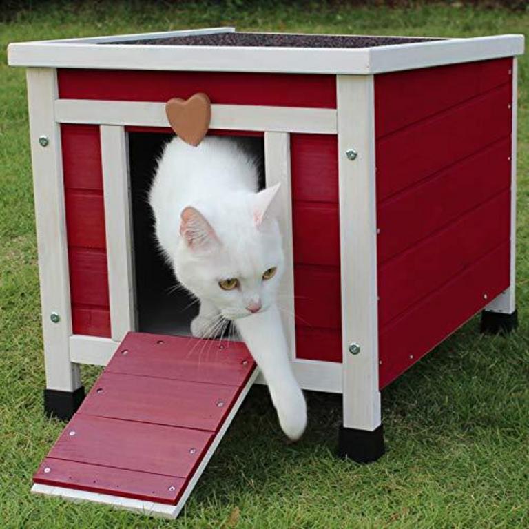 ROCKEVER CAT HOUSE