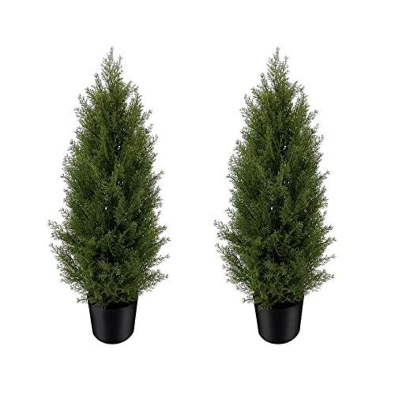 2 SEELINNS 3' TREES