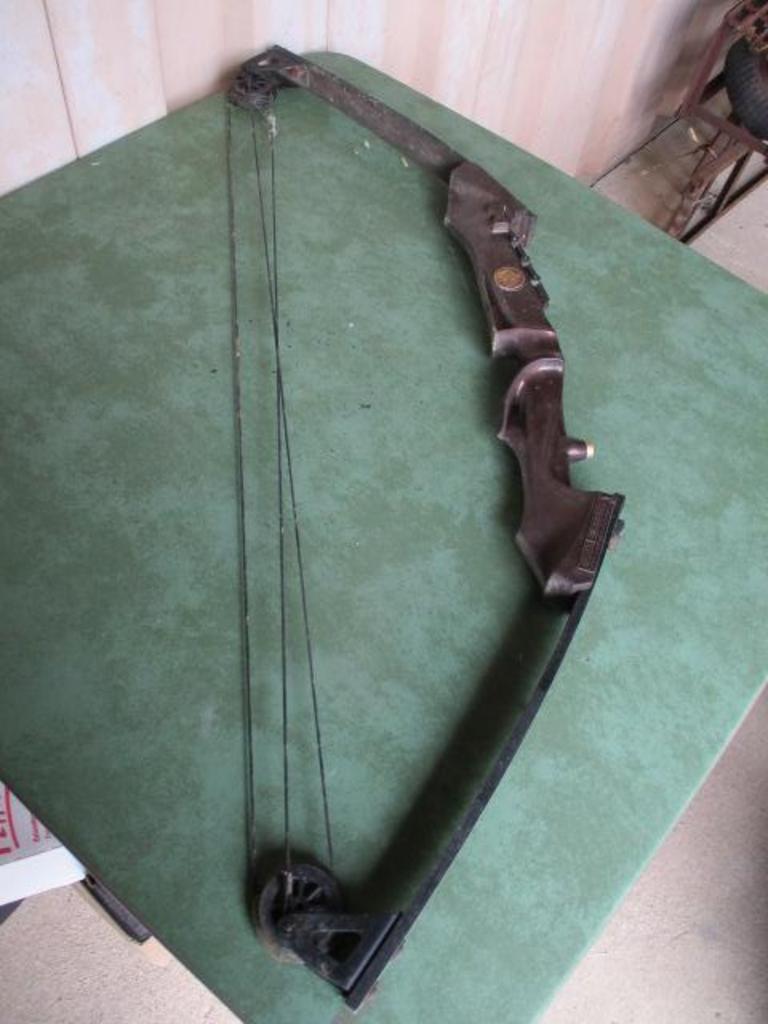 Auction Ohio Compound Bow