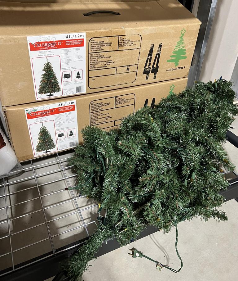 Auction Ohio Christmas Trees Lot