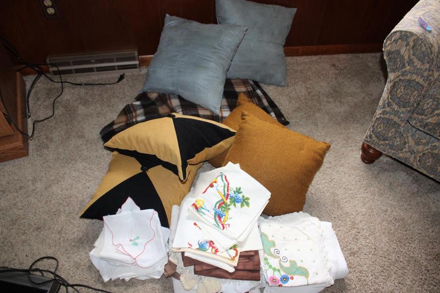 Auction Ohio Accent Pillows & More