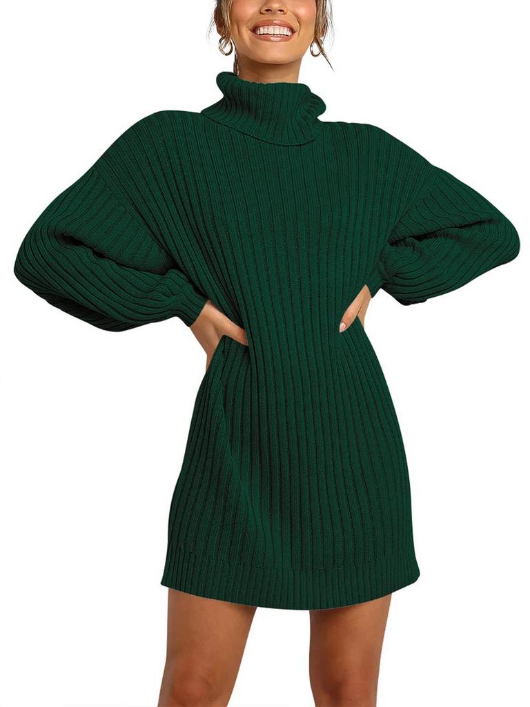 ANRABESS TURTLENECK DRESS S