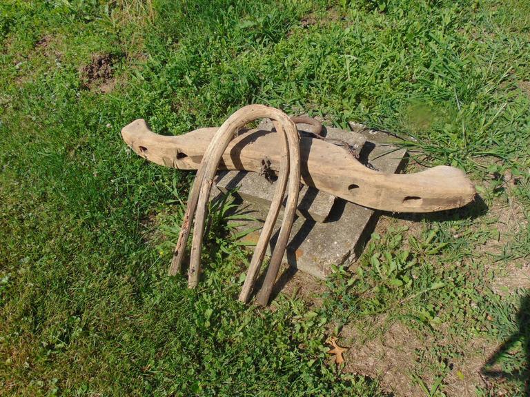 Auction Ohio Ox Yoke