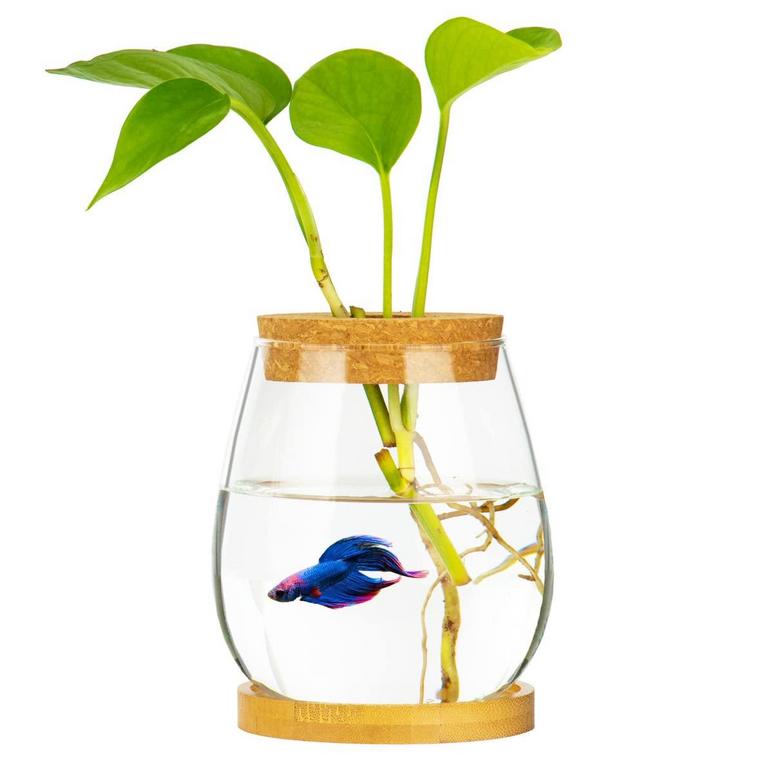 GLASS FISH BOWL SET
