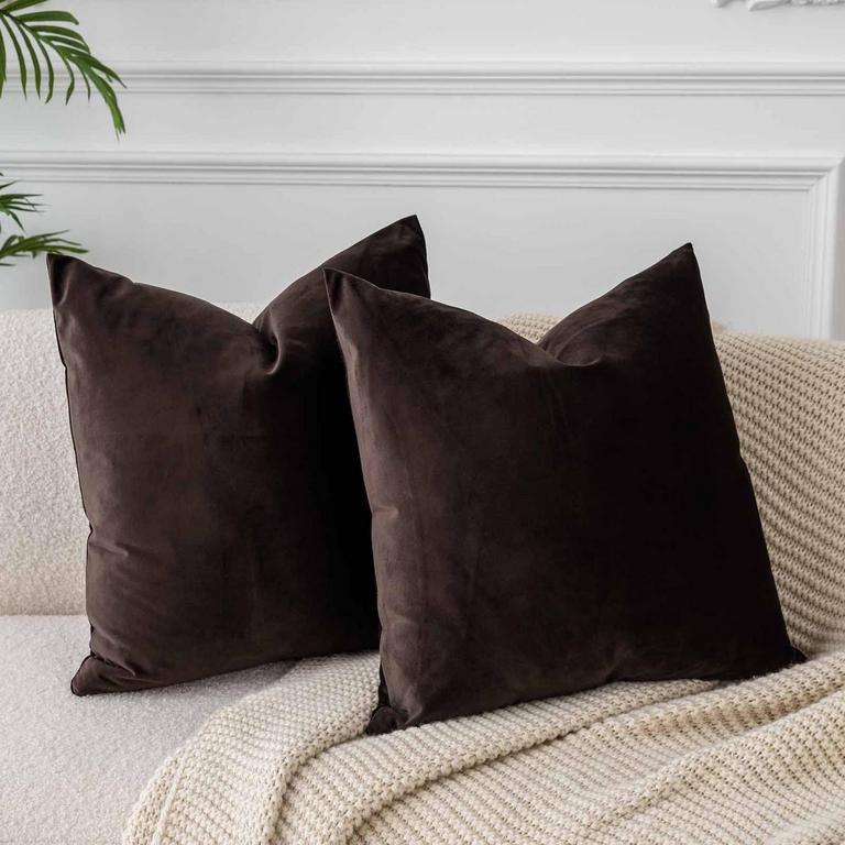 JUSPURBET VELVET PILLOW COVERS