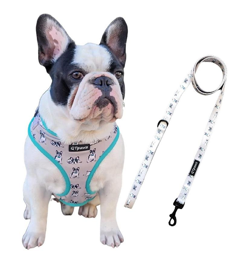 QTPAWZ FRENCHIE HARNESS M