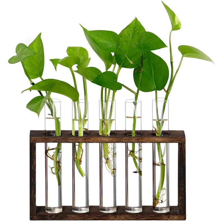 XXXFLOWER TERRARIUM PLANTER