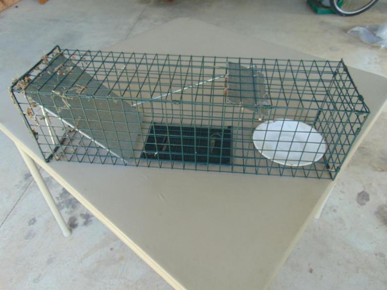 Auction Ohio Live Trap