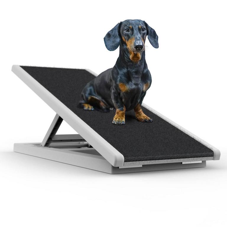 GLIARD DOG RAMP