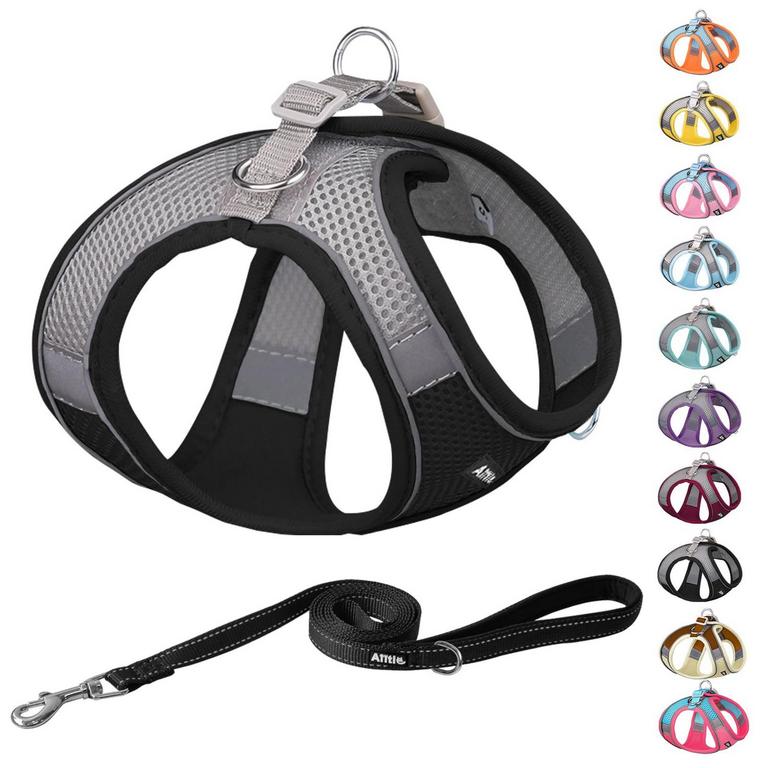 AIITLE DOG HARNESS SET