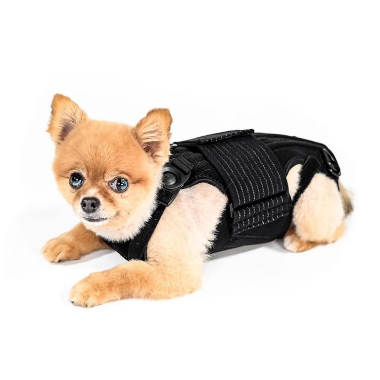AOC HAUTE S DOG BRACER