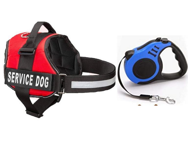 SERVICE DOG HARNESS & LEASH