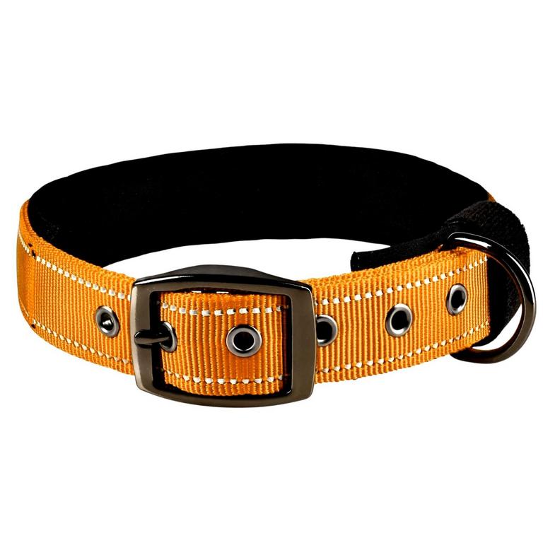 ADITYNA NEOPRENE DOG COLLAR