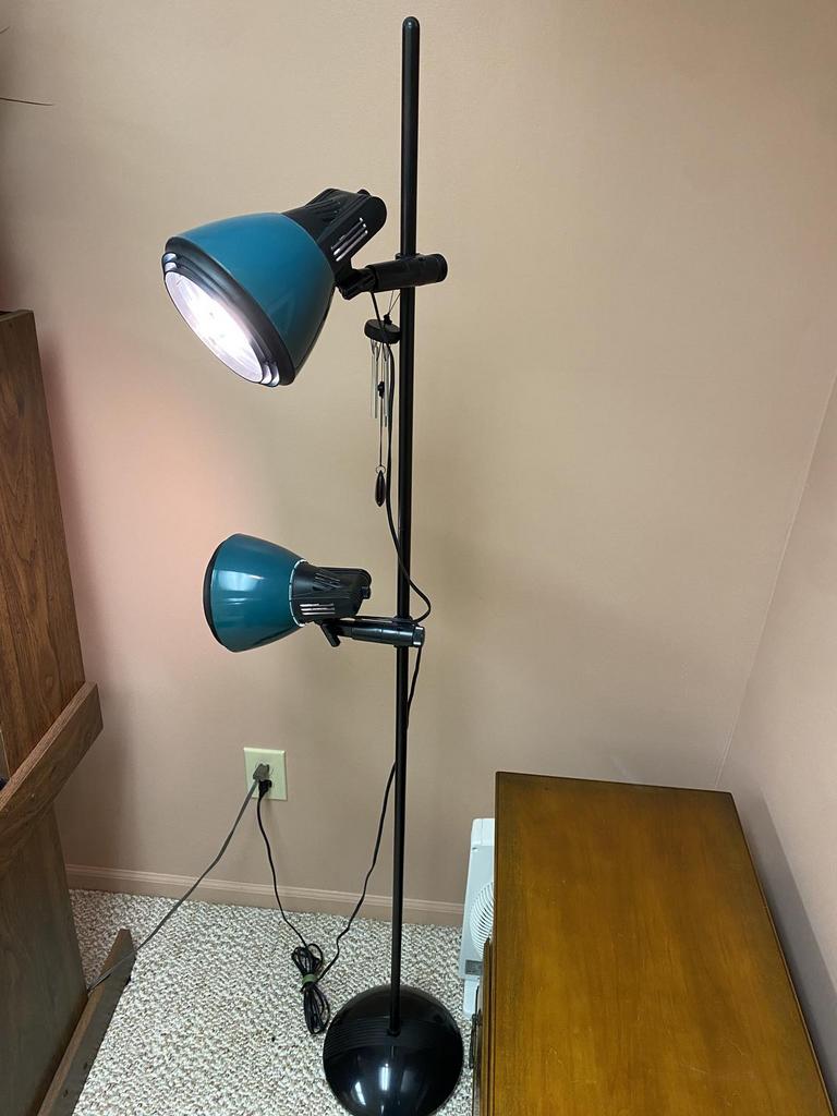 Auction Ohio Floor Lamp & Fan