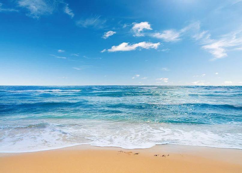 YONGQIAN 8X6FT BEACH BACKDROP