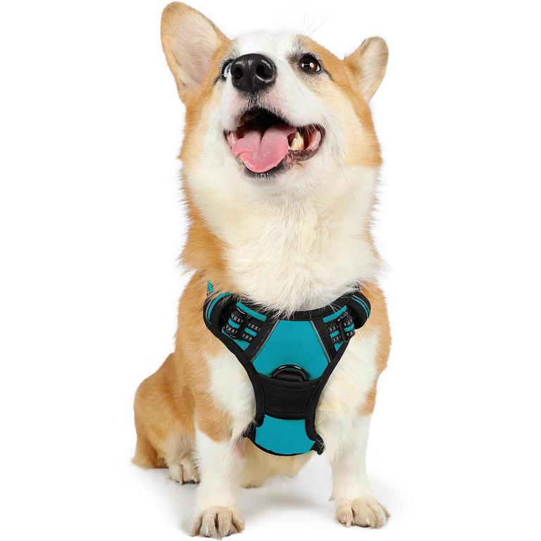 RABBITGOO DOG HARNESS M