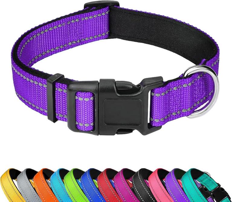 REFLECTIVE PURPLE DOG COLLAR