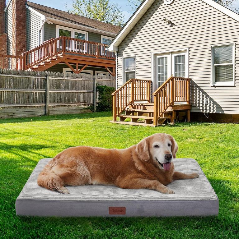 OPHANIE L SZ 35IN DOG BED