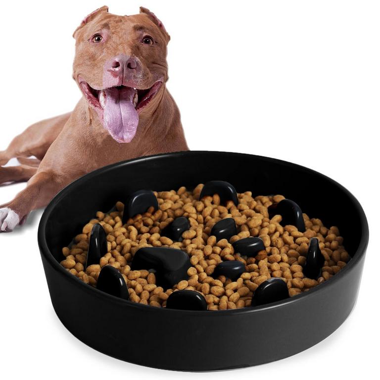 HAOTOP CERAMIC DOG SLOW-FEEDER BOWL