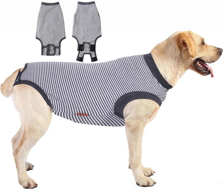 L DOG RECOVERY SUIT