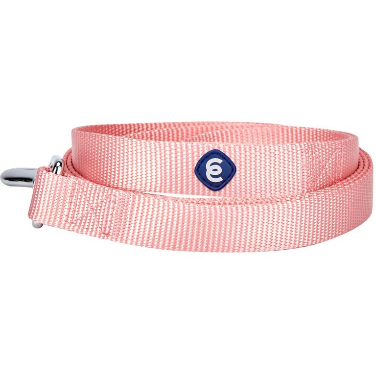 BLUEBERRY PET 4FT DOG LEASH