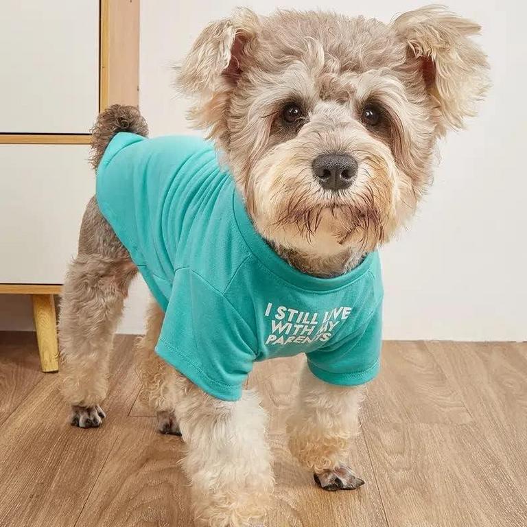 DOG T SHIRT