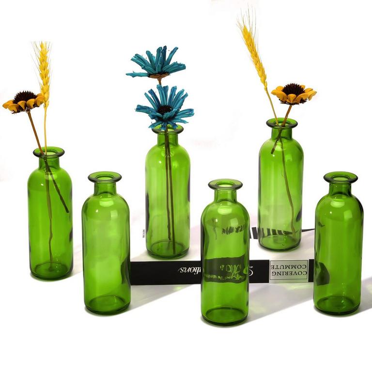 JSPUPIFIP 6PCS GLASS VASES