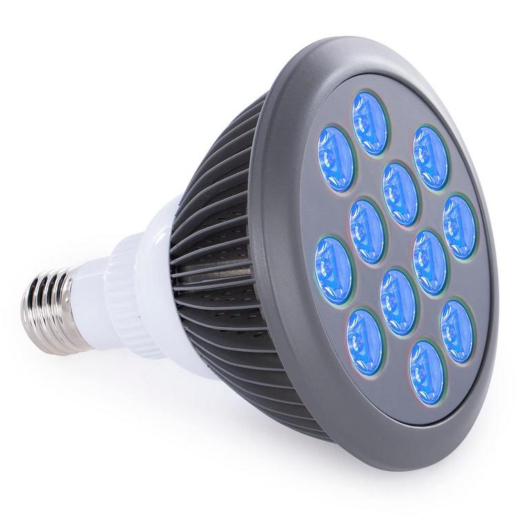HOOGA BLUE LIGHT THERAPY BULB