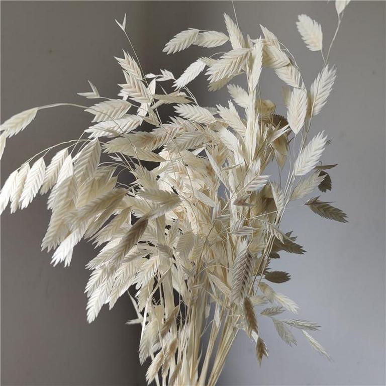 MOORCHOCO DRIED GRASS 20PC BUNDLE