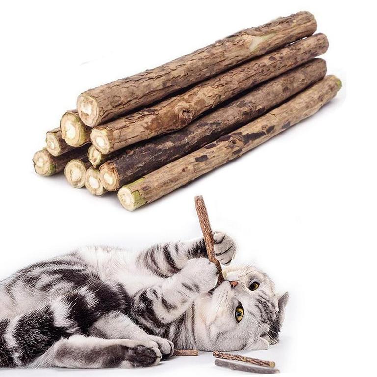 10PK CATNIP STICKS