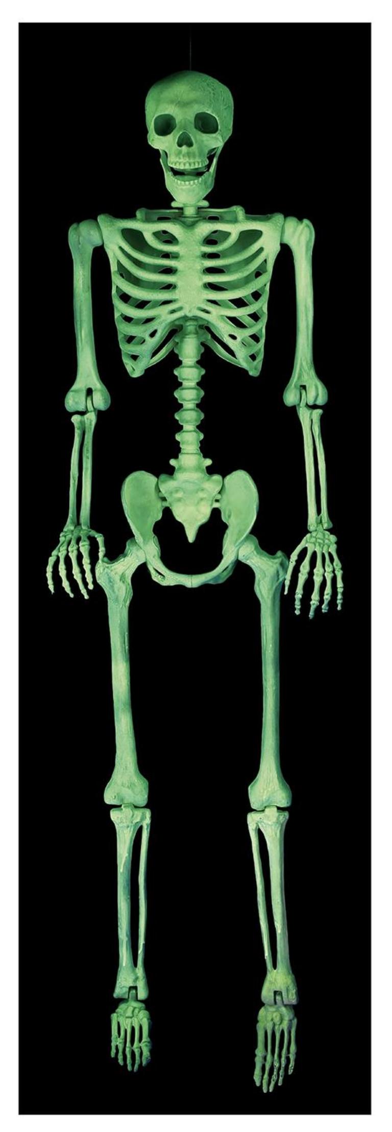 CRAZY BONEZ 5FT SKELETON