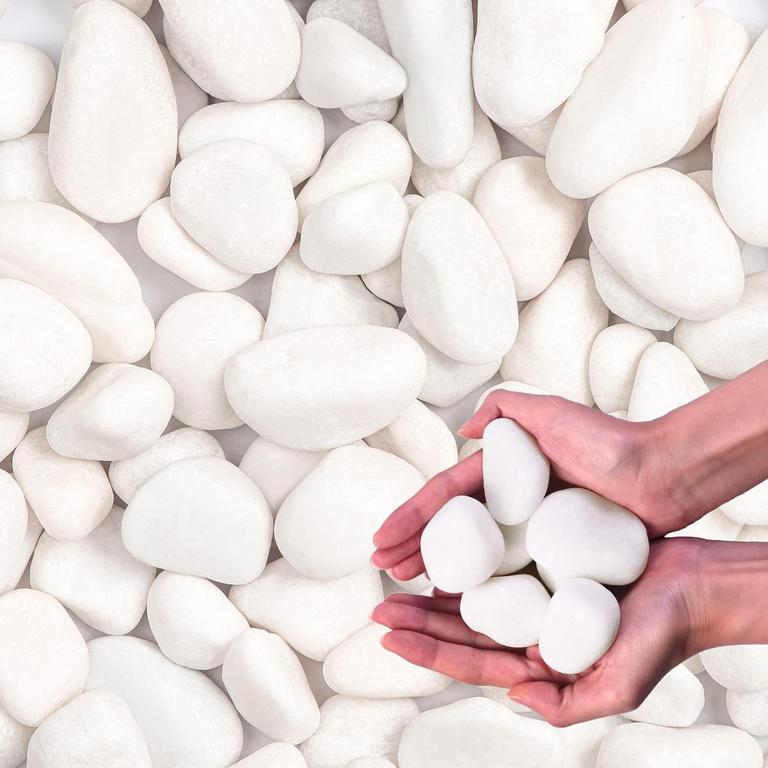 LECHLORIS 10LB WHITE ROCKS